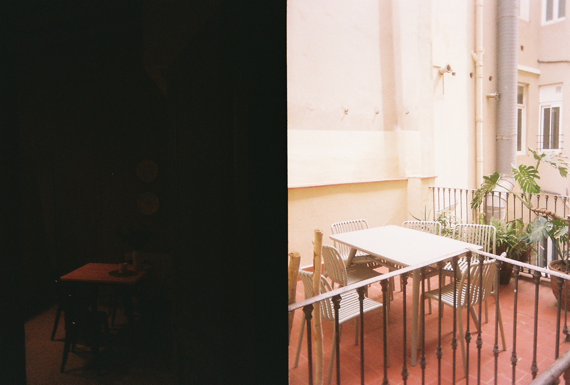 Film photo 13