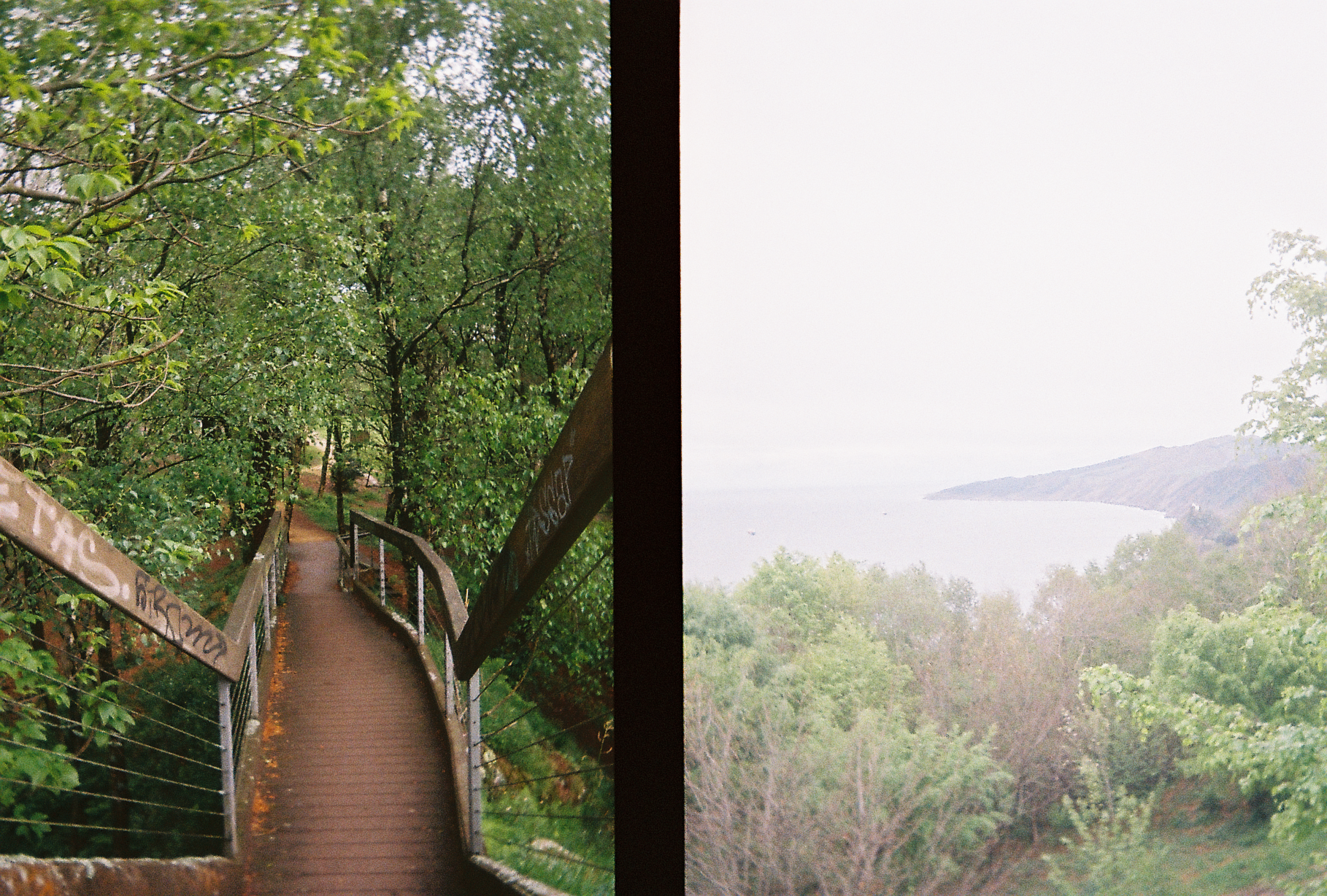 Film photo 17